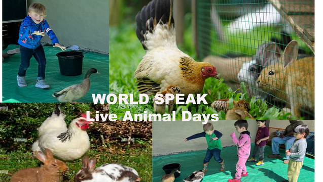 WORLD SPEAK SCHOOL LIVE ANIMAL DAYS!! 