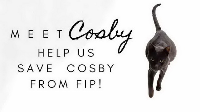 Help us save Cosby!