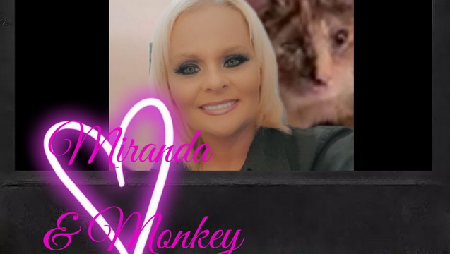 Monkey needs emergency vet care for her eye