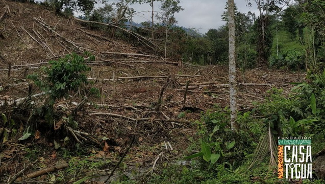 HELP CASATIGUA PROTECT THE ECUADOR TROPICAL FOREST