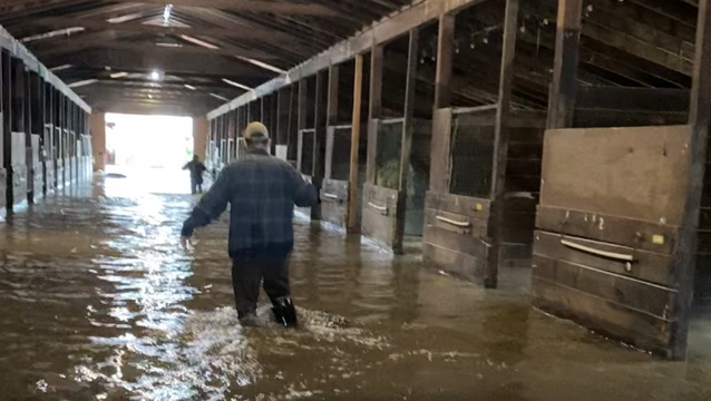 Sweetwater Farms devastated by flood