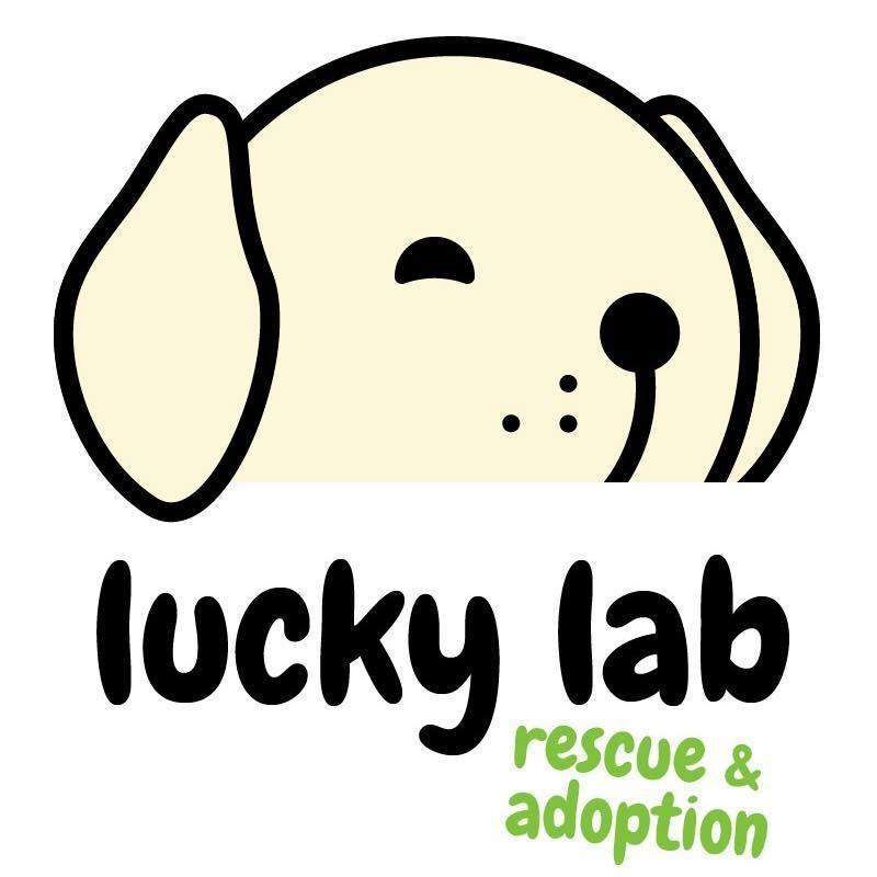 Lucky Lab Rescue Inc