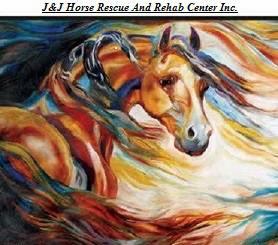 J&J Horse Rescue And Rehab Center Inc.