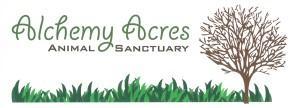 Alchemy Acres Animal Sancturay Inc