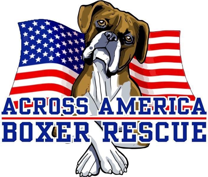 Across America Boxer Rescue