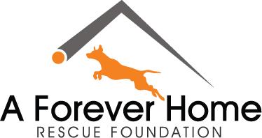 A Forever-Home Rescue Foundation, Inc.