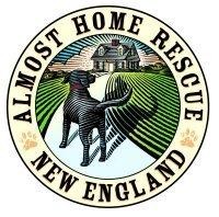 Almost Home Rescue of Maine / New England