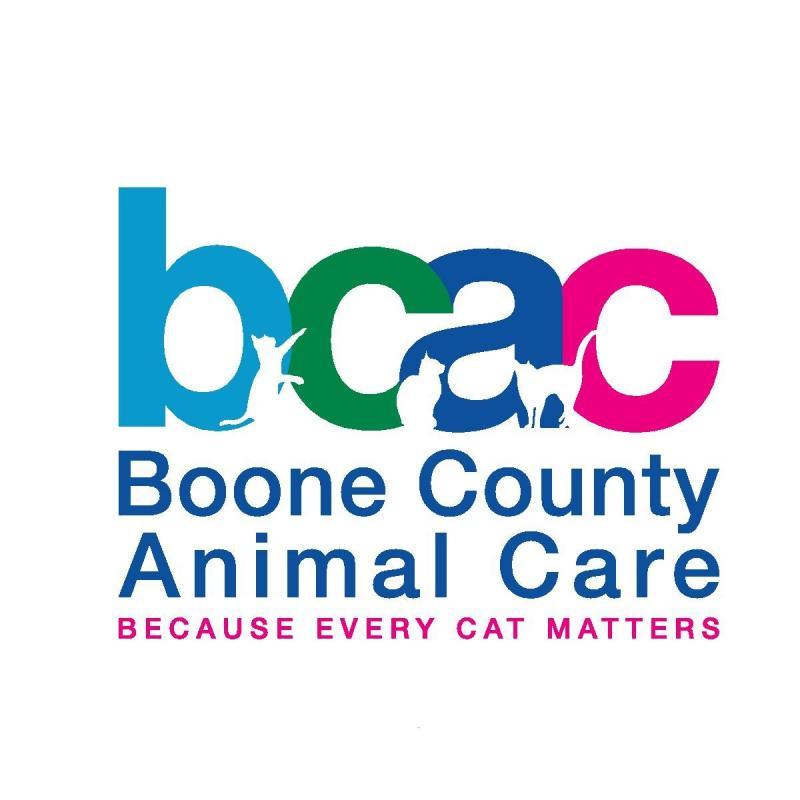 Boone County Animal Care