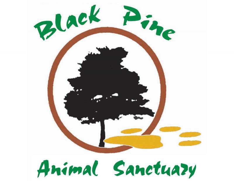 PARC Inc. aka Black Pine Animal Sanctuary
