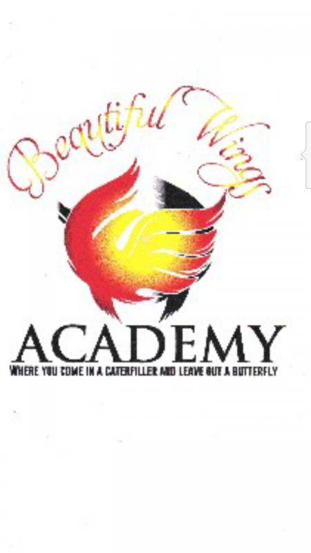 Beautiful Wings Academy Inc