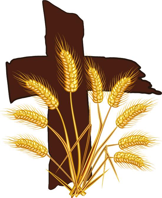Bountiful Harvest Ministries Inc
