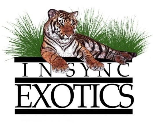 In-Sync Exotics, Inc.