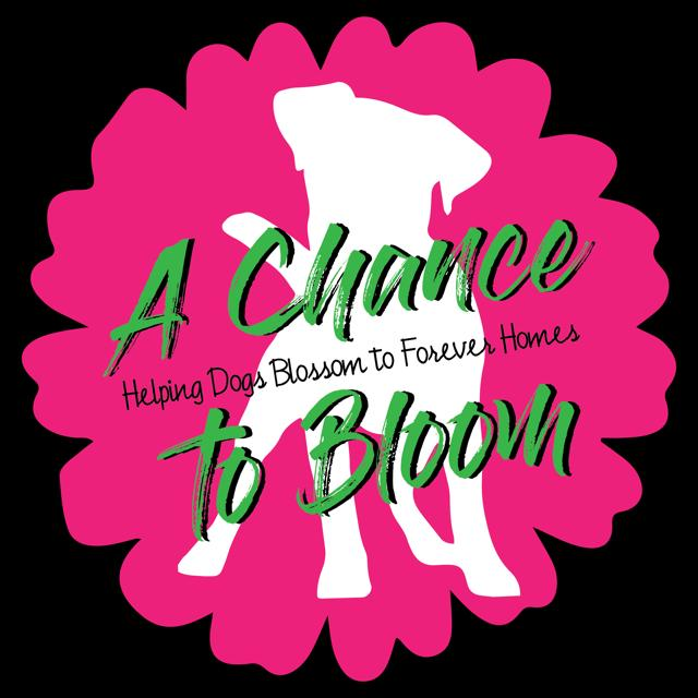 A Chance To Bloom Inc