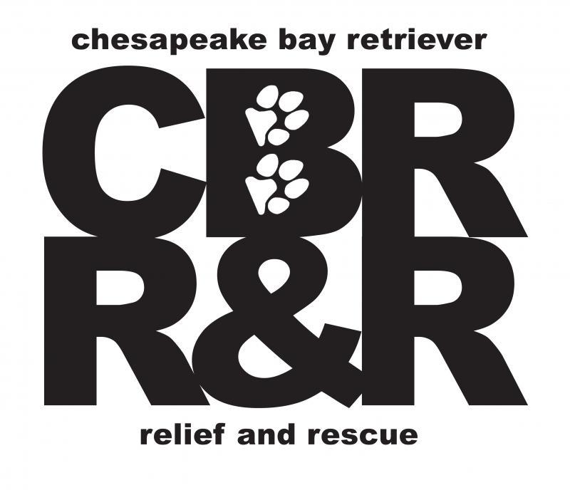 Chesapeake Bay Retriever Relief And Rescue Inc