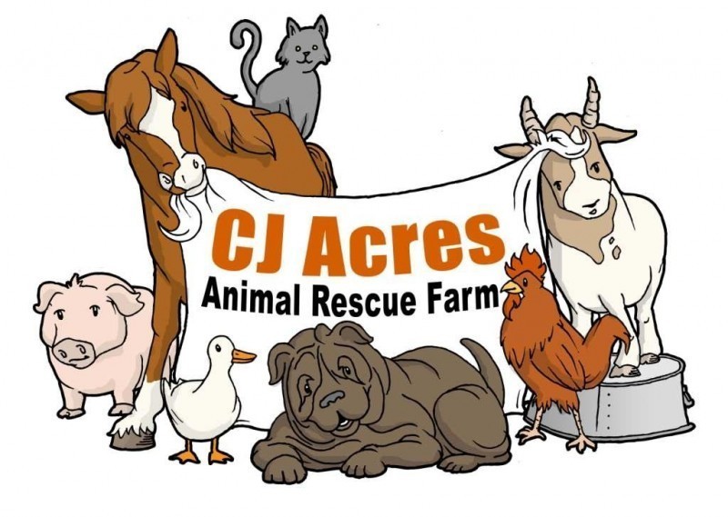 CJ Acres Animal Rescue Farm