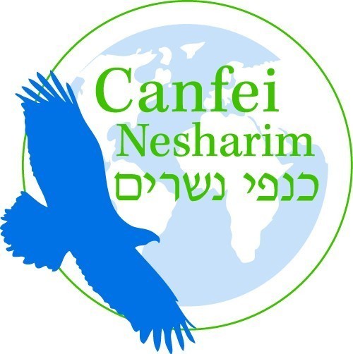 Canfei Nesharim