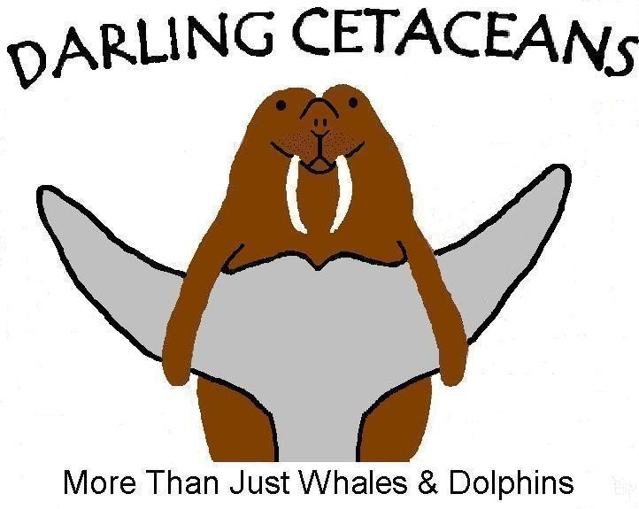 Darling Cetaceans