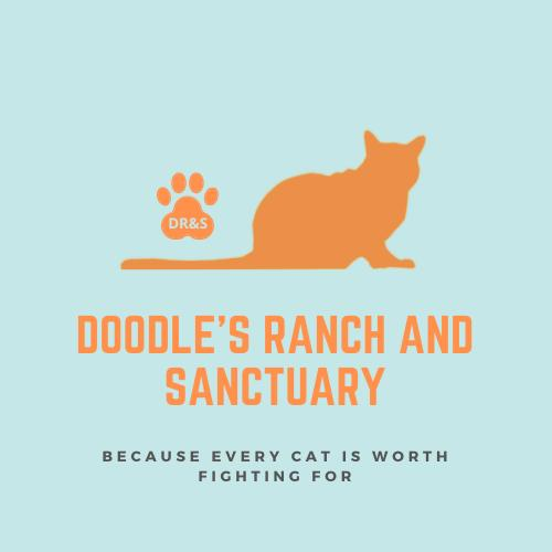 Doodles Ranch & Sanctuary Inc