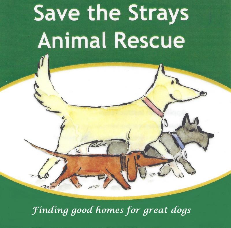 Save The Strays Animal Rescue & Sanctuary