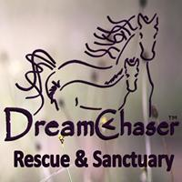 Dreamchaser PMU Rescue & Rehab.