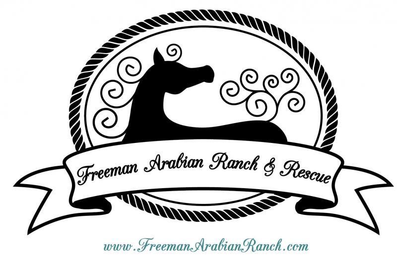Freeman Arabian Ranch And Rescue