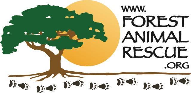 Forest Animal Rescue by Peace River Refuge & Ranch