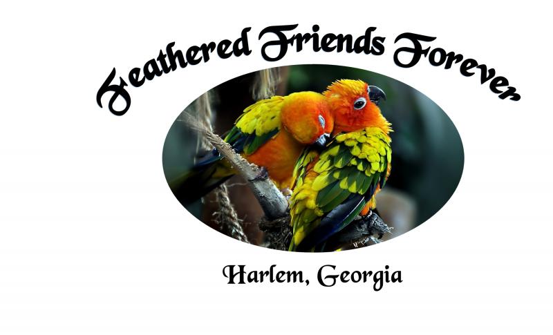 Feathered Friends Forever Rescue/Sanctuary Inc.