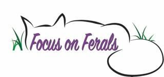 Focus On Ferals