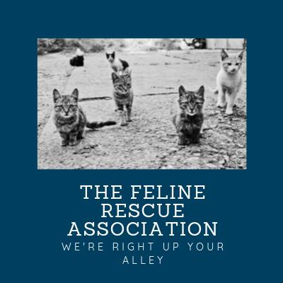 The Feline Rescue Association, Inc.