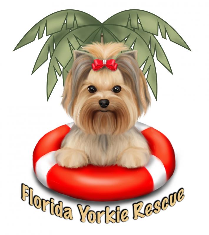 Florida Yorkie Rescue, Inc.