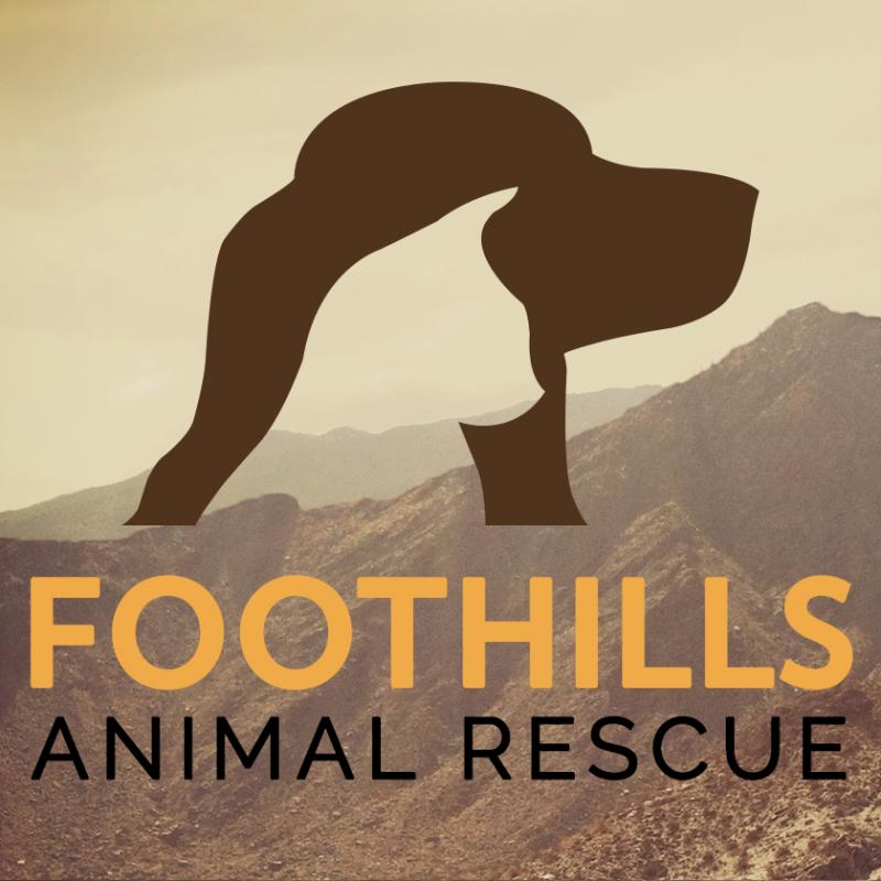 Foothills Animal Rescue