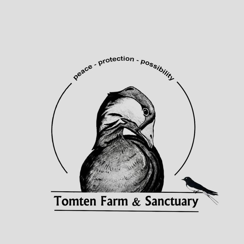 Tomten Farm And Sanctuary Of New Hampshire