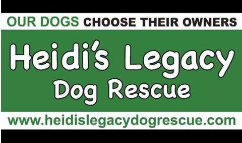 Heidi's Legacy Dog Rescue