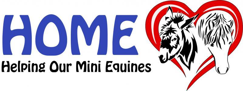 Helping Our Miniature Equines