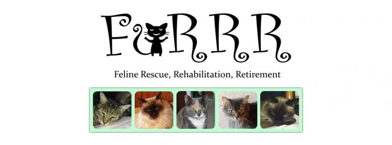 Furrr Feline Rescue
