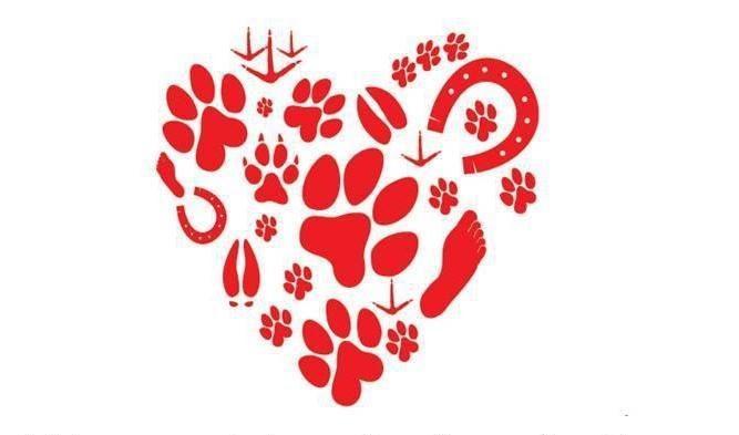 Hearts for Animals Inc