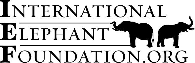 International Elephant Foundation