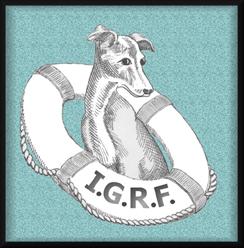 Italian Greyhound Rescue Foundation Inc