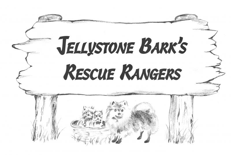 Jellystone Barks Rescue Rangers NFP