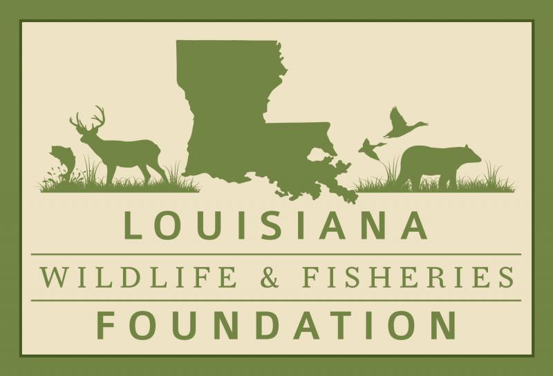 Louisiana Wildlife And Fisheries Foundation