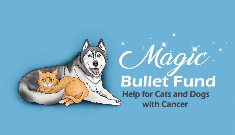 Magic Bullet Fund Inc.