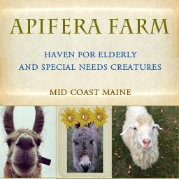 Apifera Farm Inc.