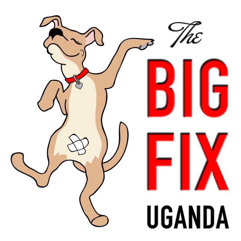 The BIG FIX Uganda, a project of The BIG FIX