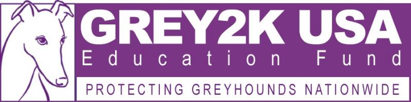 GREY2K USA Education Fund
