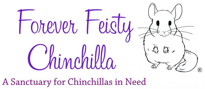 Forever Feisty Chinchilla Rescue Inc