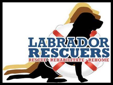 Labrador Rescuers