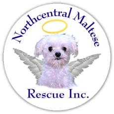 Northcentral Maltese Rescue, Inc.