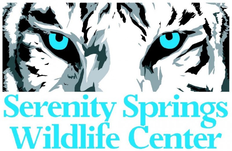 Big Cats of Serenity Springs Inc