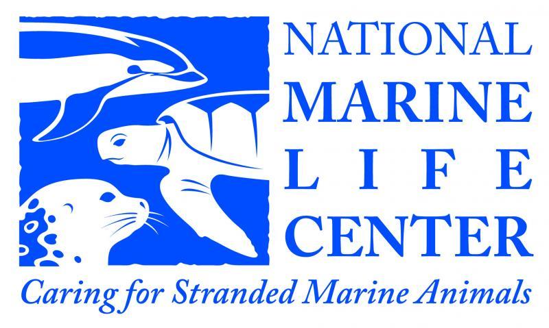 National Marine Life Center, Inc.