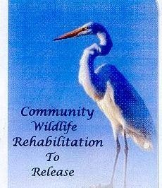 Community Wildlife Rehabilitation To Release